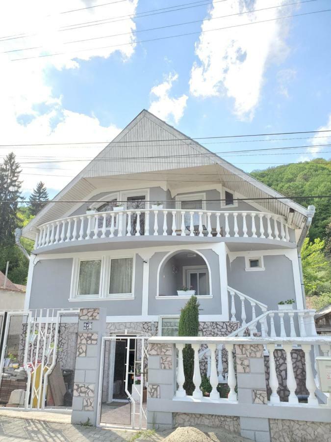 Casa Marian Hotel Sighisoara Exterior photo